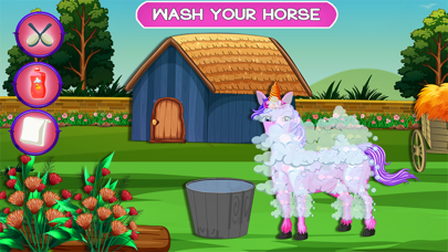 Tooth Fairy Pony Makeover Screenshot