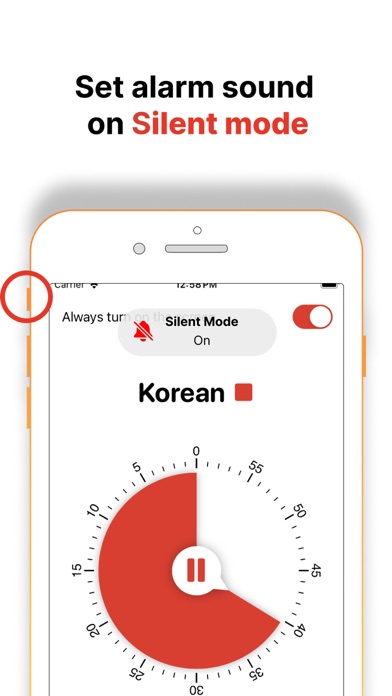 Strudy Timer Screenshot