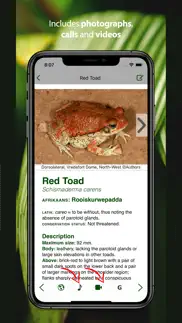 frogs of southern africa iphone screenshot 3