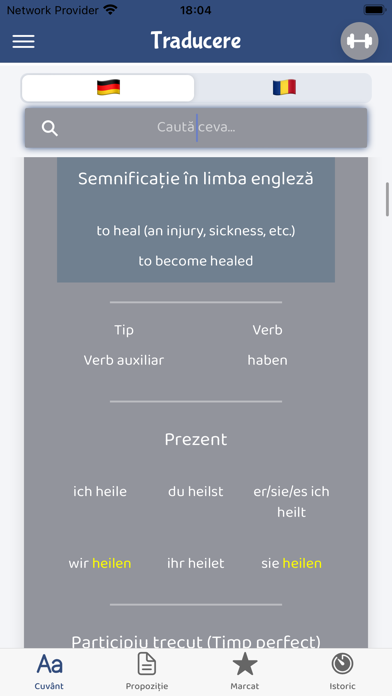 Dicţionar German Român Screenshot