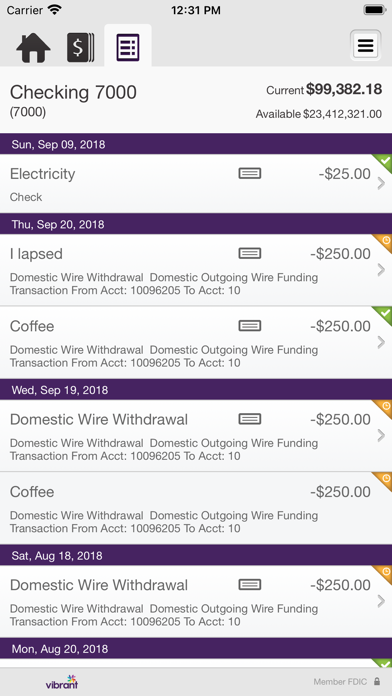 Vibrant Business Screenshot
