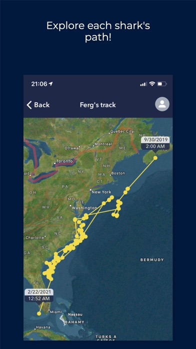 OCEARCH Shark Tracker Screenshot