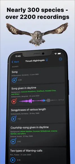 Game screenshot Bird Sounds of Northern Europe mod apk