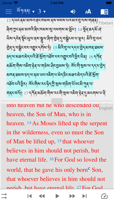 Tibetan English Screenshot