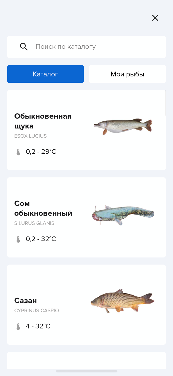 Умная рыбалка