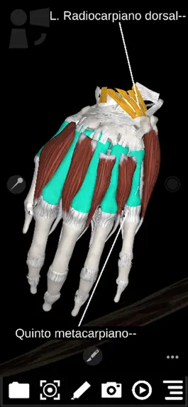 Game screenshot 3Dissect Upper Limb hack