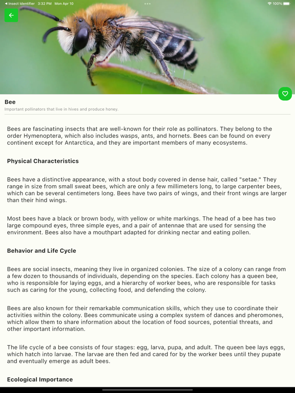 Screenshot #5 pour Bug Identifier - Insect Finder