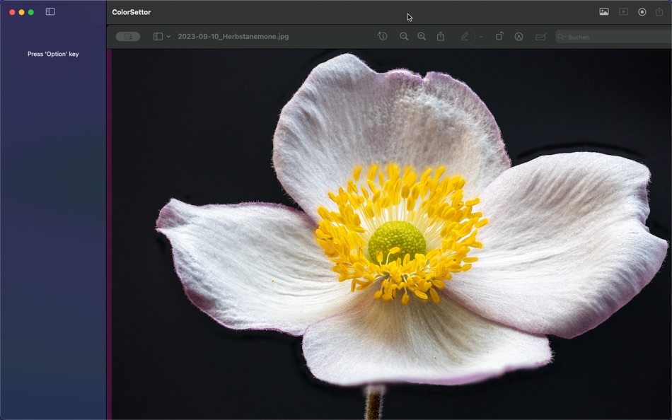 #4. ColorSettor (macOS) 由: Bernd Meinhold