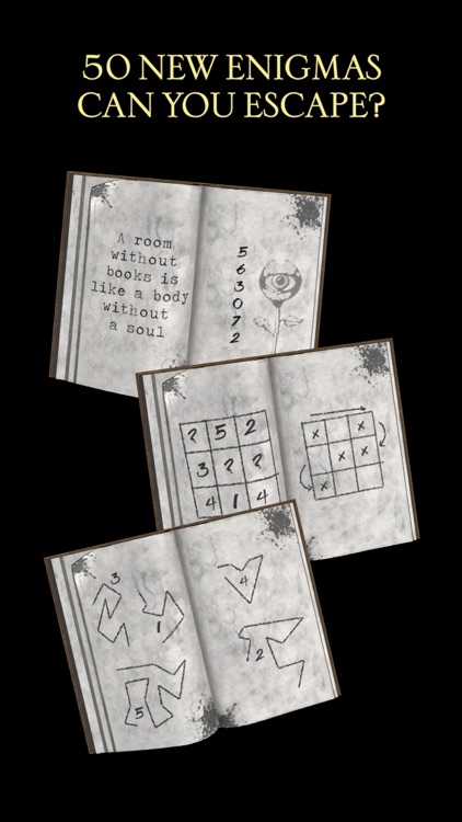 The Da Vinci Cryptex 2 screenshot-3