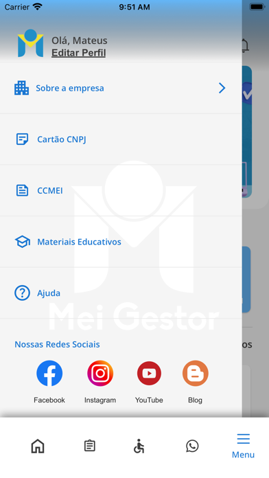 MEI Gestor Screenshot