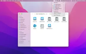 ftp mounter lite айфон картинки 1