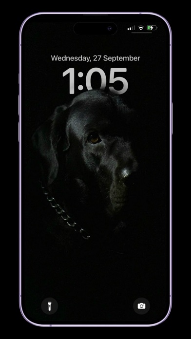 Icon Changer for iPhone Screenshot