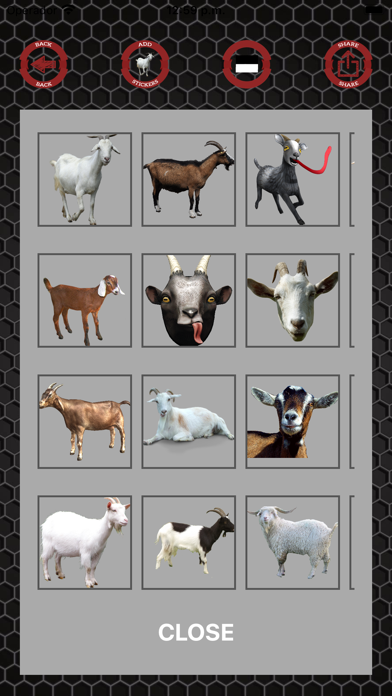 Screenshot #2 pour Autocollants de chèvre sur les
