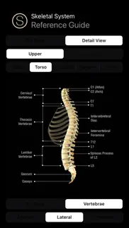 human skeleton reference guide iphone screenshot 2