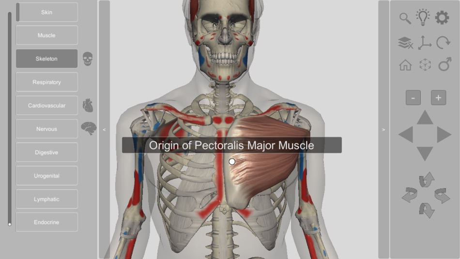 #4. 3D Human Anatomy Introduction (iOS) 由: biosphera.org