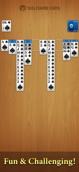 Game screenshot Solitaire Card Games · Spider hack