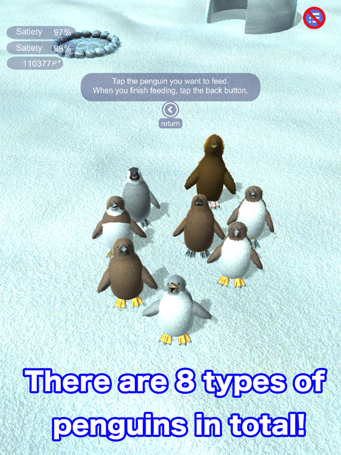 Penguins raised from chicks