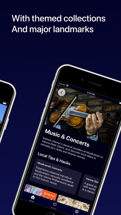 Vienna Travel Guide .