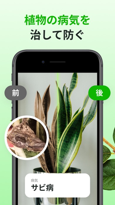植物認識 写真 名前 調べる - Botanのおすすめ画像2