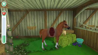 Star Stable Horses screenshot 3