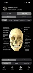 Human Anatomy Study Guide screenshot #5 for iPhone