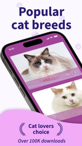 Cat Breed Games Dear My Kitten screenshot