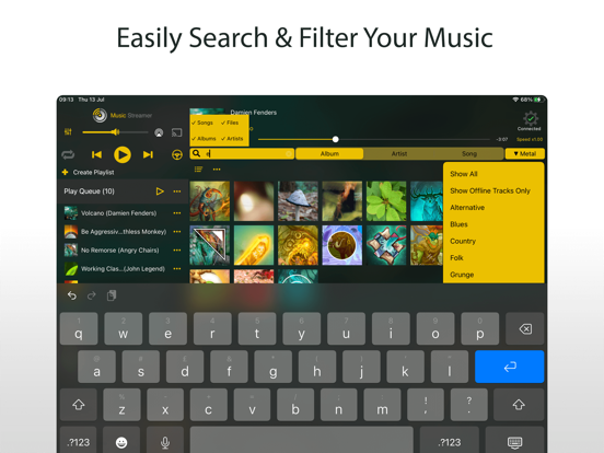 MusicStreamer iPad app afbeelding 3