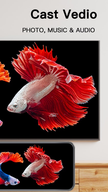 Screen Mirroring & TV Cast