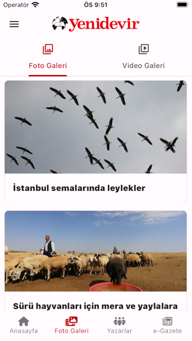 Yenidevir Screenshot