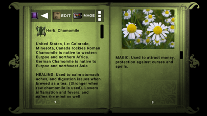 Book of Shadows Ultimate Screenshot