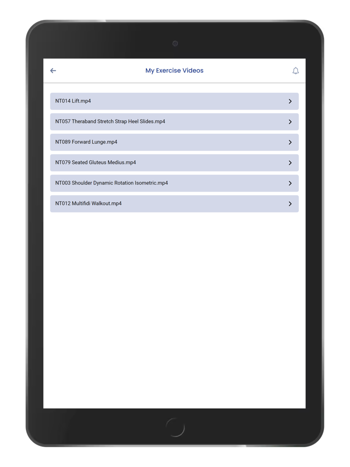 Dynamic Pain and Wellness