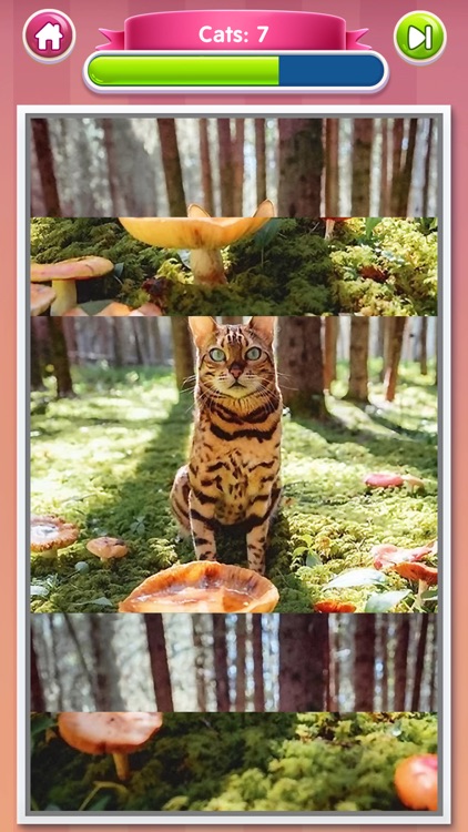 Gallery Puzzle - HD Art Jigsaw