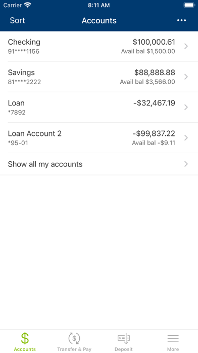 Radius Federal Credit Union Screenshot