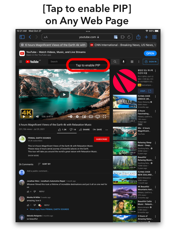 Screenshot #4 for Easy PIP for Safari