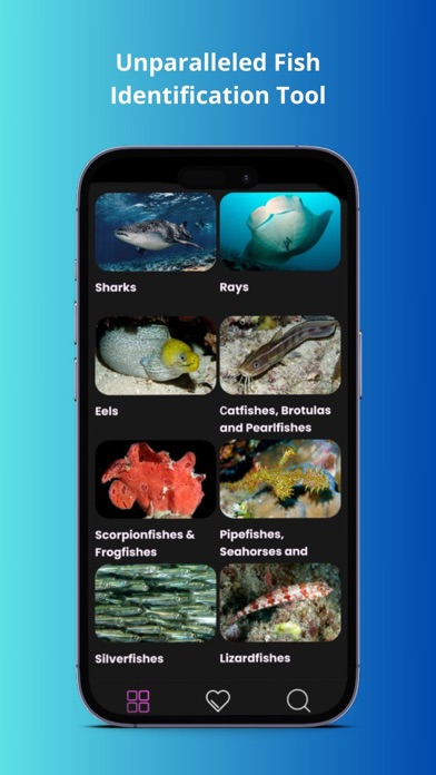 Screenshot #2 pour Maldivian Fish Guide