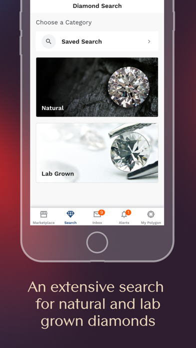 Screenshot #2 pour Polygon Jewelers