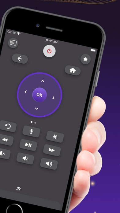 Remote for Roku TV App Screenshot