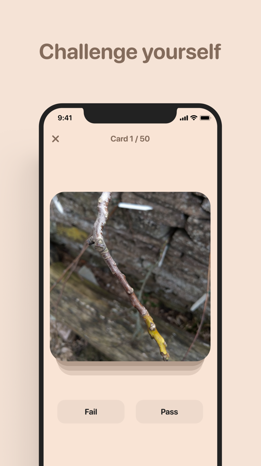 #3. Flippo (iOS) 由: Andreas Lengqvist