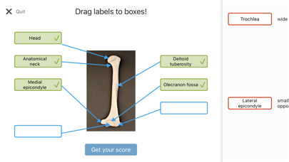 Anatomy Karma skeletal system Screenshot