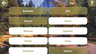 Sloword: 4 various word games Screenshot