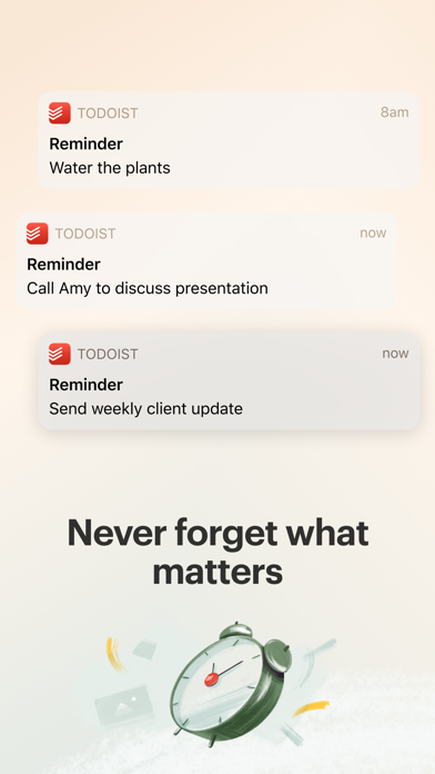 Todoist: ToDo リスト & 計画スクリーンショット