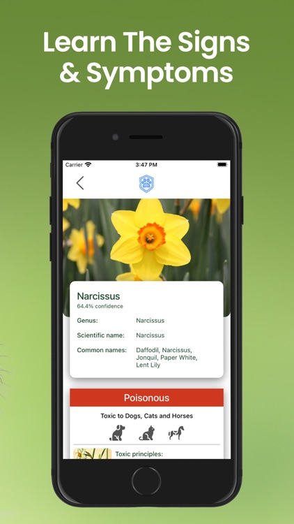 Pet Protect Plan: Toxic Plant screenshot-4