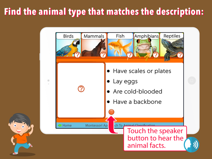 Animal Kingdom Vertebrates