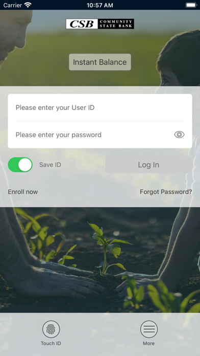 Community State Bank IL Screenshot