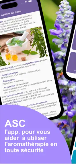 Game screenshot Aroma Synergie Checker mod apk