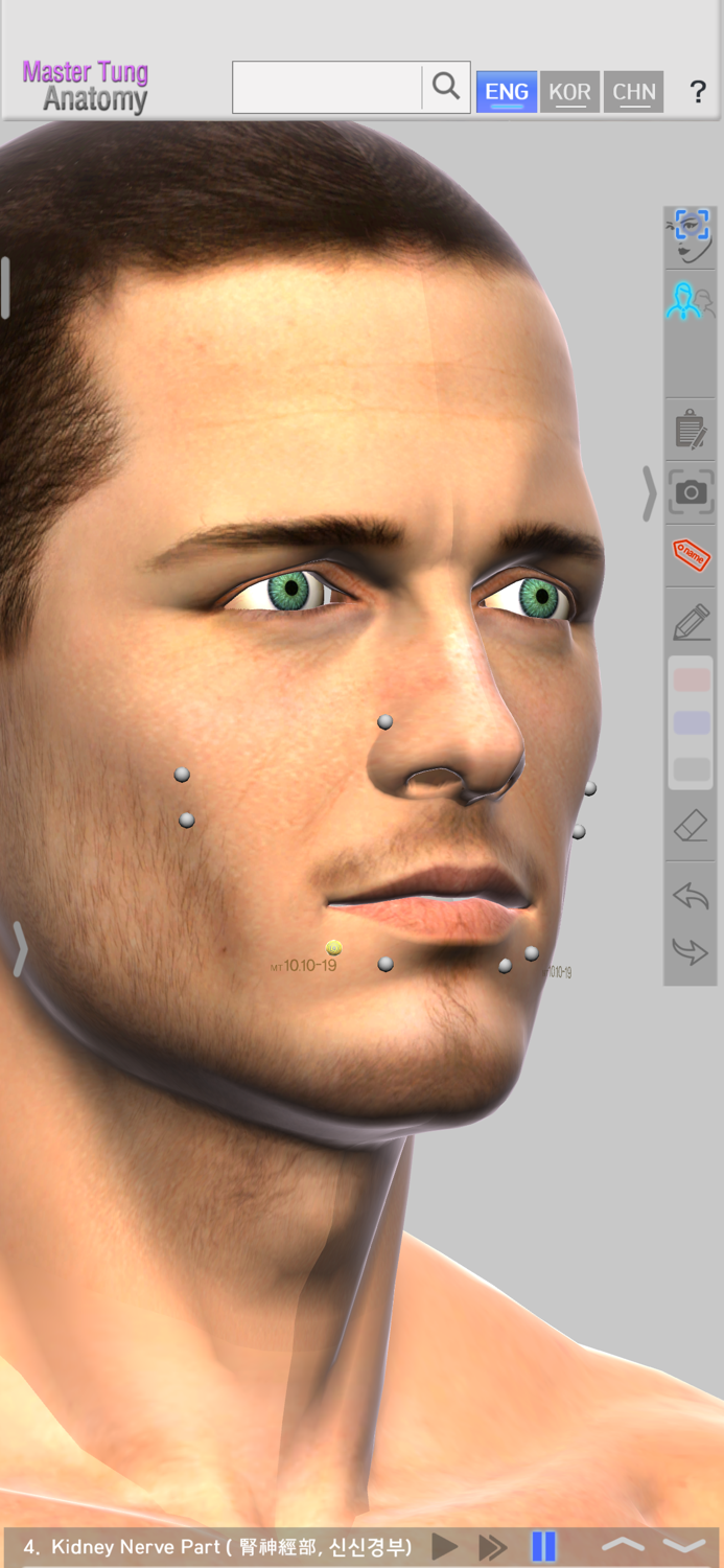 Master Tungs Acupoint Anatomy