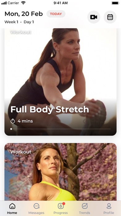 FitSarah Screenshot