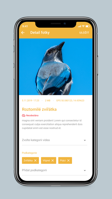 mReportér Screenshot