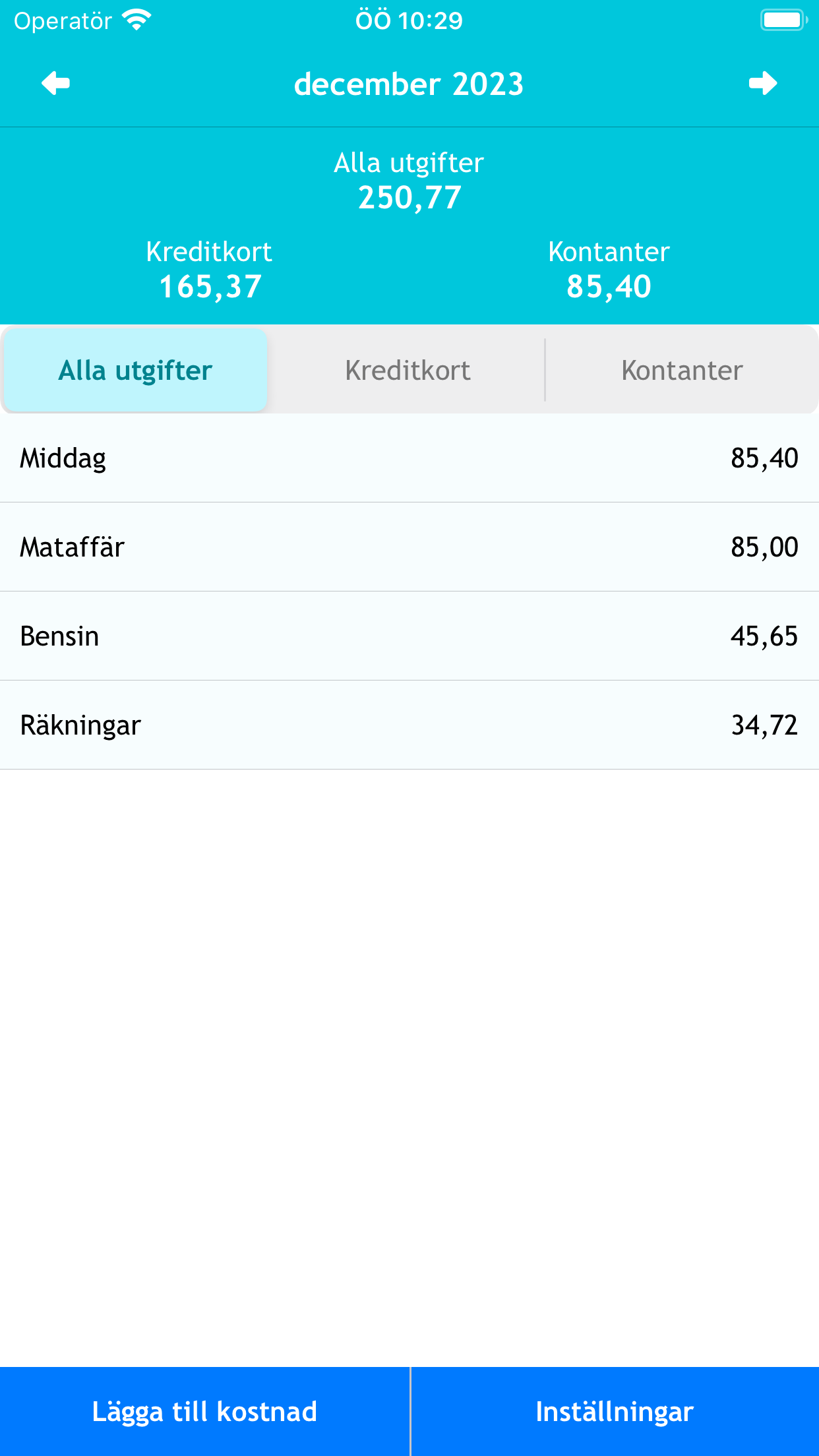 Utgifter: Kostnadshantering