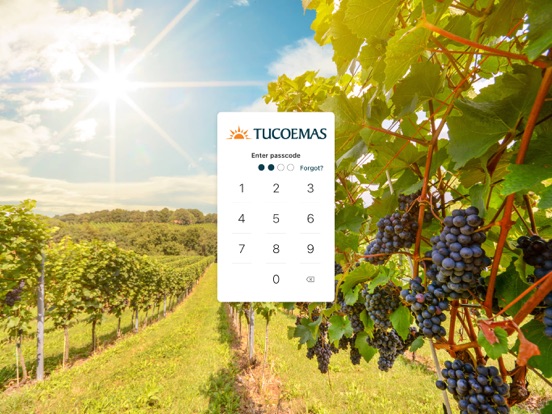 Tucoemas iPad screenshot 2 - Finance app